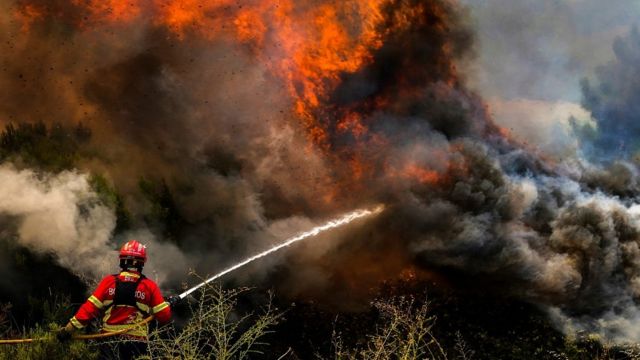 Firefighter in Baiao, Portugal, 15 Jul 22