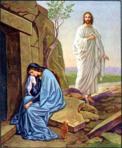 Not By Force, Nor Violence, But By Love – St. Catherine Of Siena Parish