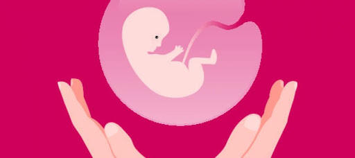 Abortion is a woman's right | Western Mirror