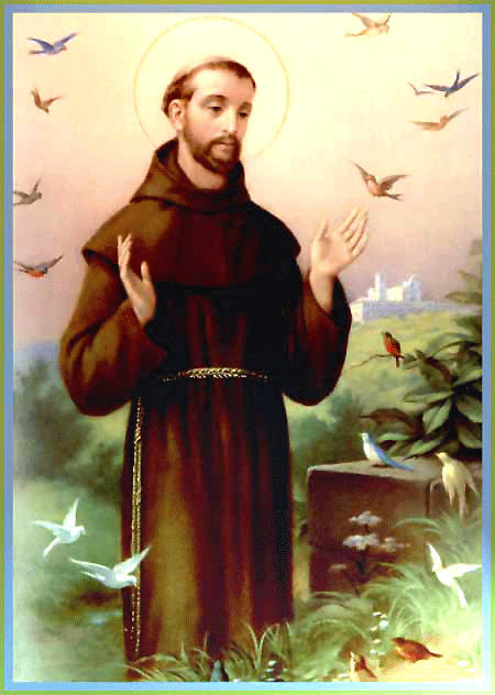 Image result for st francis assisi