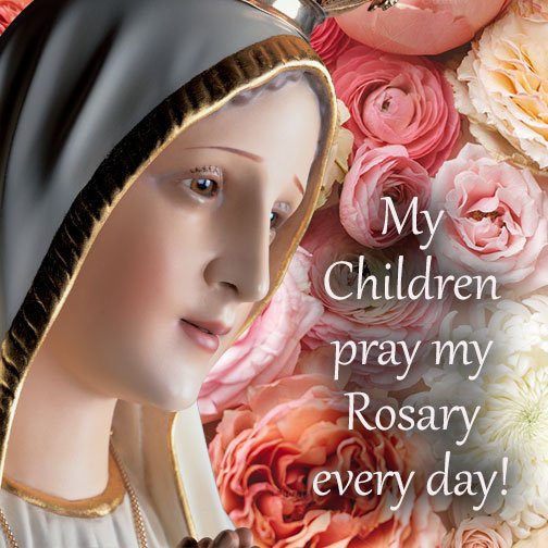 America Needs Fatima on Twitter: "Do you pray the #rosary everyday?… "