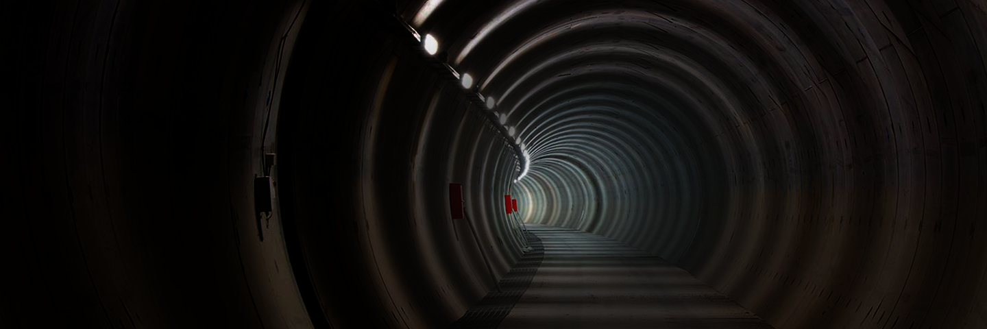 The Light at the End of the COVID-19 Tunnel :: Longwoods.com