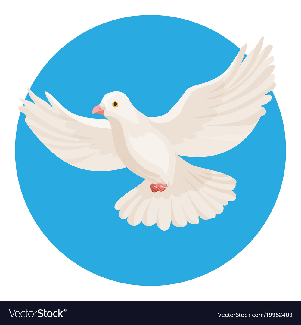 Dove of white color symbol of peace isolated in Vector Image