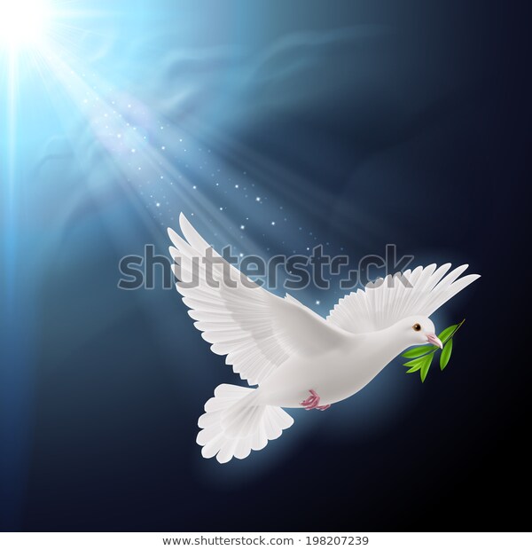 Dove of peace flying with a green twig after flood on dark background