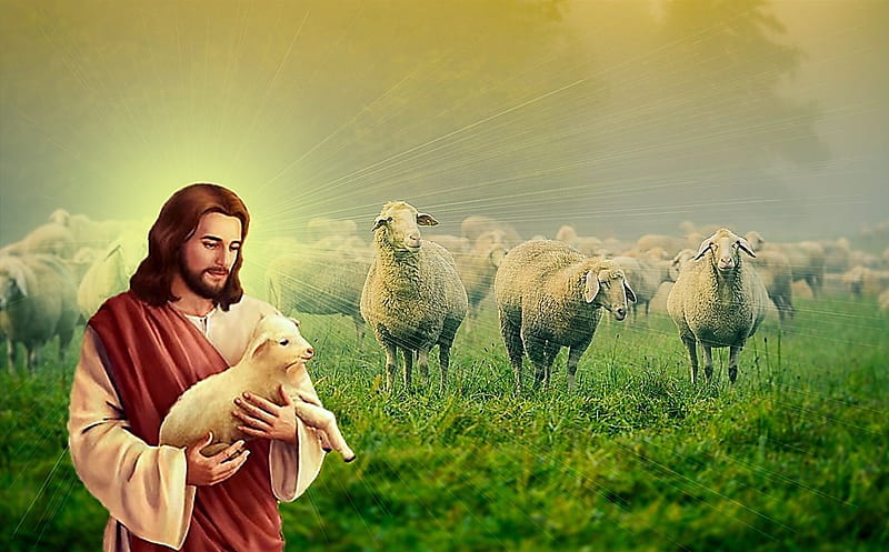 Good shepherd Jesus Christ, jesus, gospel, god, shepherd, christ, HD  wallpaper | Peakpx