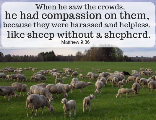 The Heart of Christ – Seek Grow Love