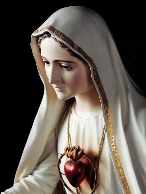 Devotion to the Immaculate Heart of Mary, an essential part of the message of Fatima (13th June) - Plinio Correa de Oliveira